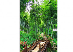 Tranh gạch men phong cảnh 3d HP823