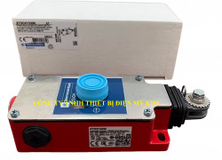 Công tắc hành trình Telemecanique XC2JC10131