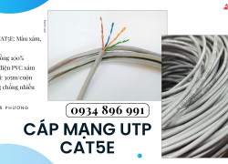 Cáp Mạng UTP Cat5e 24AWG Nghệ An, Hà Tĩnh, Thanh Hóa