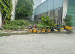 Bán đất sổ hồng mới tinh Thanh Xuân 22 quận 12 chỉ 4,15 tỷ tới 68m2, đường 7m, khu dân cư hiện hữu