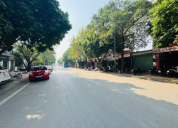 HOA HẬU LONG BIÊN. Ô TÔ ĐỖ CỬA