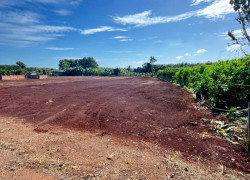 CẦN BÁN LÔ ĐẤT LONG PHƯỚC BRVT – nay thuộc P. TAM LONG, TP.HCM