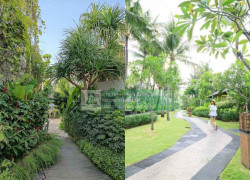 Chăm Sóc Cảnh Quan Chung Cư Cao Cấp Tại TP.HCM & Đồng Nai