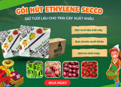 GÓI HÚT ETHYLENE SECCO: BẢO VỆ NÔNG SẢN - NÂNG TẦM GIÁ TRỊ