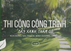 Thi công cỏ lá gừng khu công nghiệp – Đồng Nai, TP.HCM (Vũng Tàu), Bình Dương, Long An,…