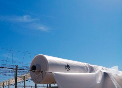 POLITIV Màng nhà kính số 1 Israel