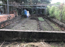 L2067 ⭐️ đất Thạnh Xuân 25 Q12, SHR, Vuông, 5x13.4m, 1.x tỷ