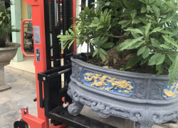 Báo giá xe nâng vận chuyển cây cảnh mới nhất