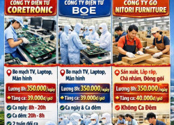 Tuyển gấp LĐPT làm tại KCN PHÚ MỸ 3 Bà Rịa Vũng Tàu