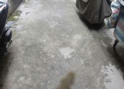 BÁN ĐẤT TẶNG NHÀ – VÕNG THỊ, TÂY HỒ – GIÁ TỐT -  Ngõ 8 Võng Thị – Tây Hồ – Hà Nội