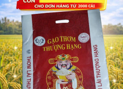 Khuyến Mãi Bao Đựng Gạo 5Kg 10Kg Giảm Giá Net