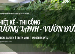 Dịch Vụ Thiết Kế & Thi Công Tường Xanh – Vườn Đứng Chuyên Nghiệp
