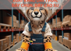 Thủ Tục Xuất Khẩu Dây Thun