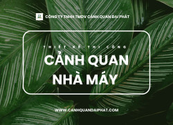 Thi công cảnh quan nhà máy Đồng Nai, TPHCM