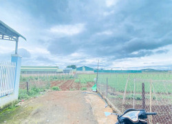 Bán đất sẵn nhà tiền chế hẻm tổ 32, liên nghĩa, đức trọng