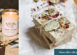 🌿✨ HÀNH TRÌNH TÌM LẠI SỰ AN YÊN TẠI UTOPIA VILLA & RESORT – KHU BẢO TÀNG TRÀ