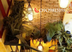 ♥️♥️♥️Bán Nhanh Ở+KD Nhà Mặt Tiền Quận 5 SHR P.Chợ Lớn.♥️♥️♥️