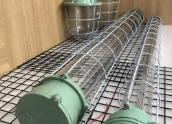 Máng đèn chống cháy nổ đơn, đôi 1.2m