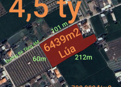 Bán lô đất lúa chuyện thổ phân lô gần Quốc Lộ 50B giá 4,5 tỷ