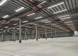 CHO THUÊ NHÀ XƯỞNG 27000m² TẠI CẨM GIÀNG HẢI DƯƠNG
