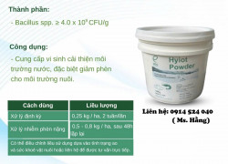 vi sinh khử phèn 𝑯𝒀𝑰𝑶𝑻 𝑷𝑶𝑾𝑫𝑬𝑹