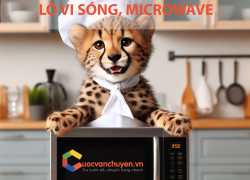 Thủ Tục Nhập Khẩu Lò Vi Sóng