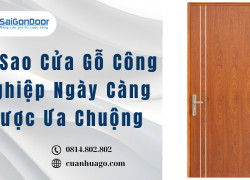 Vì Sao Cửa Gỗ Công Nghiệp Ngày Càng Được Ưa Chuộng