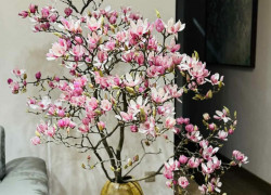 -Bán nhà Gò vấp,phan huy ích, 4x28m, 3 tầng, giá chỉ 6tỷ.