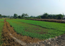 Lô Đất đẹp HXH Trung Đông 7,TTT , DTx500m2 .Giá chỉ  2.25  tỷ (TL).