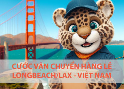 Giá cước vận chuyển hàng lẻ từ Longbeach về Việt Nam