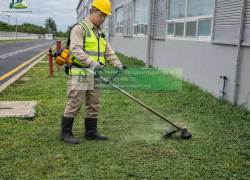 Cắt Cỏ Vệ Sinh Cảnh Quan Đồng Nai Chuyên Nghiệp