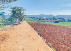 Bán 4 lô đất hẻm tổ 33, thông 2 đầu, đức trọng, lâm đồng