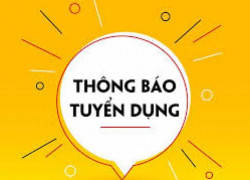 TUYỂN DỤNG THỢ ĐÓNG TÀU