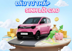 MINIO GREEN: ĐẦU TƯ THẤP - SINH LỜI CAO