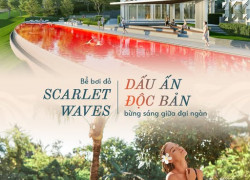 🔥 SCARLET WAVES – BỂ BƠI ĐỎ ĐỘC NHẤT KHIẾN GIỚI ĐẦU TƯ & TÍN ĐỒ CHECK-IN “ĐỨNG NGỒI KHÔNG YÊN” 🔥