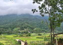 Quỹ đất siêu lợi nhuận dành cho các nhà đầu tư