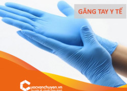 Thủ Tục Xuất Khẩu Găng Tay Y Tế