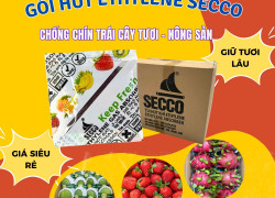 Gói Hút Khí Ethylene Secco 5g - Bảo Quản trái cây tươi