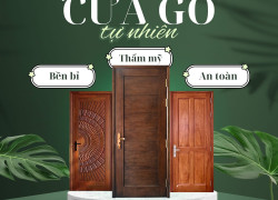 Cửa tự nhiên đẹp
