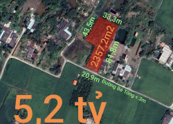 Bán lô đất lúa xã Tân Trụ giá 5,2 tỷ