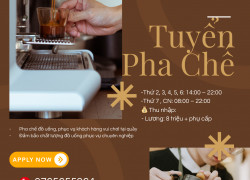 TUYỂN GẤP PHA CHẾ CÓ KINH NGHIỆM – TÂN PHÚ
