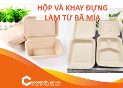 Thủ Tục Nhập Khẩu Hộp Và Khay Đựng Làm Từ Bã Mía