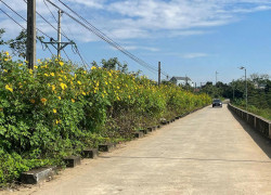 Cần bán nhanh lô đất thuộc xã Vân Hoà, Ba Vì, Hà Nội diện tích 150m2 full thổ cư giá 1,8 tỷ