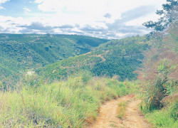 4,6 sào đất ninh gia, đức trọng cũ, lâm đồng, oto, xe tải vào tận nơi