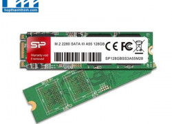 Ổ cứng M.2 2280 SATA SSD, A55, 128GB SP128GBSS3A55M28