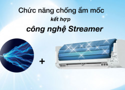 Máy lạnh treo tường Daikin FTKZ25VVMV/RKZ25VVMV