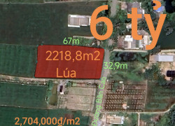 Bán hạ giá lô đất lúa làm kho xưởng gần Quốc Lộ 50B giá 6 tỷ