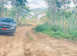 Bán 4 sào phú hội pre, đức trọng, lâm đồng, nhà c4, điện nước đầy đủ