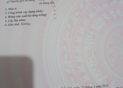 Bán đất thổ cư Định An,Lấp Vò ĐT. Mặt tiền Chợ Cái Dầu Bé. Sổ hồng 48m2, giá 550 triệu.