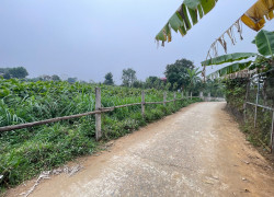 Đất nghỉ dưỡng tại xã Ba Vì nở hậu, tiện đường, tiện chợ, không khí trong lành.